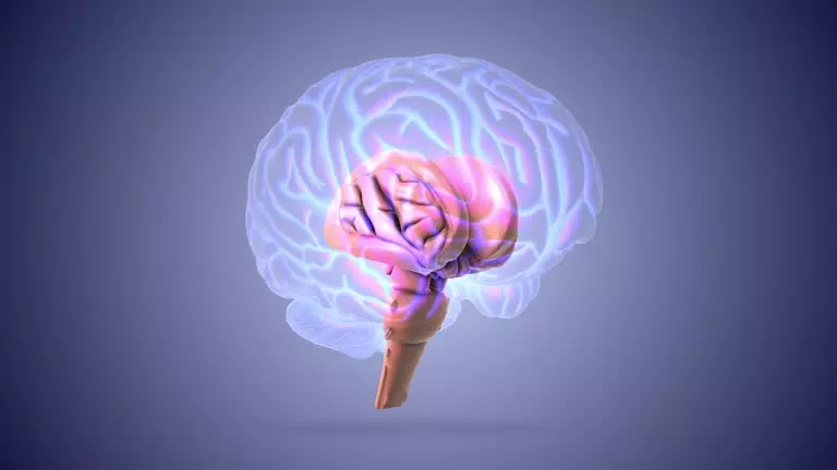 Istockphoto 1764850335 640x640 1