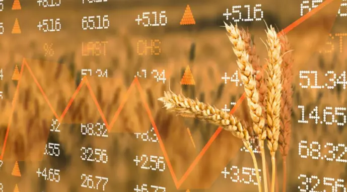 Wheat Markets Prices5575